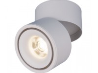 Светильник накладной потолочный светодиодный 3100 DLR031 15W 4200K белый матовый Elektrostandard a040958