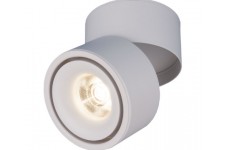 Светильник накладной потолочный светодиодный 3100 DLR031 15W 4200K белый матовый Elektrostandard a040958